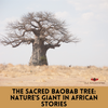 Sacred Baobab tree