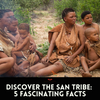 The San Tribe: 5 Interesting Facts About Southern Africa's Indigenous People